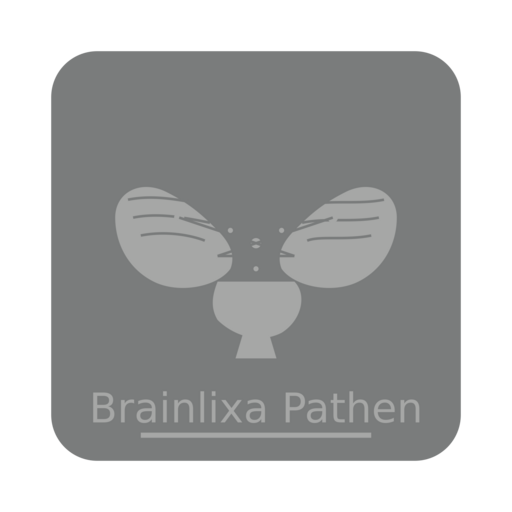 Brainlixa Pathen Logo